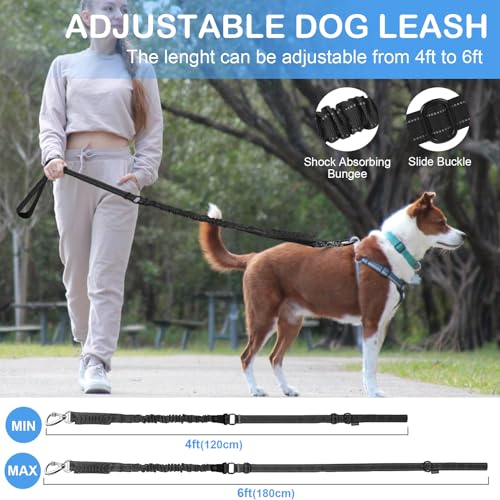 Heavy Duty Dog Leash for Medium Large Dogs (Black)