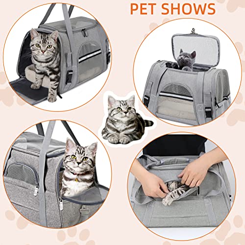 Pet Carrier Bag Airline Approved Up for Cats and Dogs Up to 20LBs