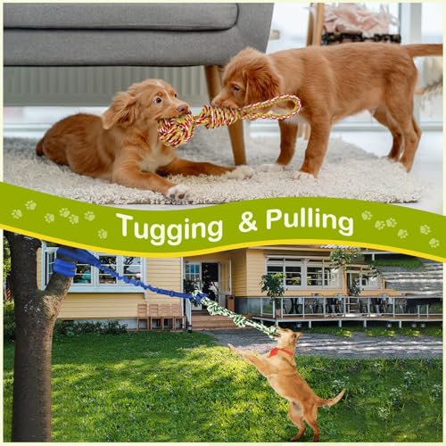 Outdoor Dog Bungee Tug Toy (Large)