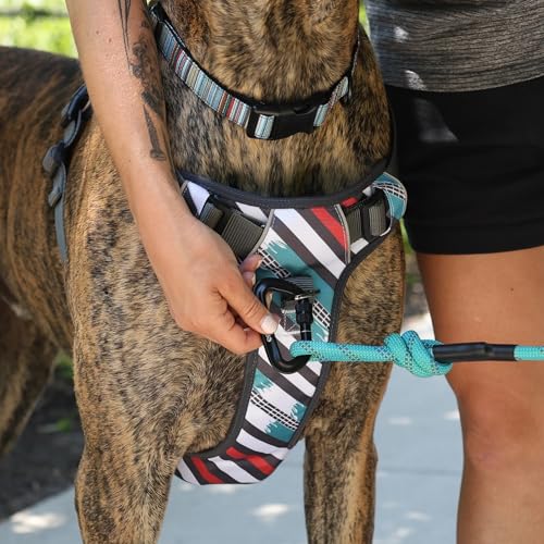 Embark No Pull Dog Harness (M / Maverick)
