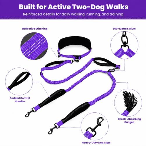Hands Free Double Dog Leash (Purple)