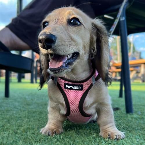 Voyager Step in Air Dog Vest Harness (Pink/Black Trim / M (Chest: 16 - 18"))