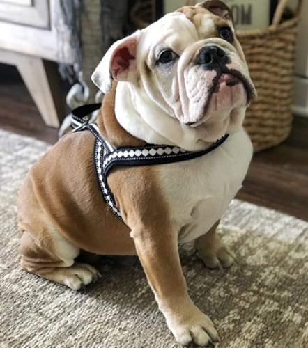 4 Colors Soft & Comfy 3M Reflective Jacquard Padded Dog Harness (Medium(20.5" - 26") Chest Girth / Purple Grey)