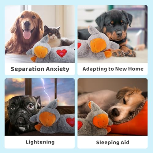 Heart Beat Dog Toy