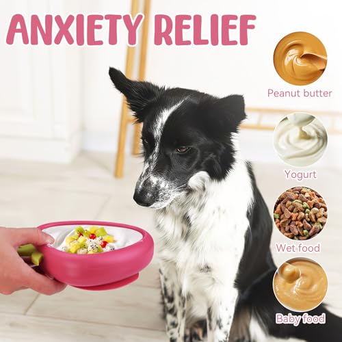 Freeze Dog Lick Bowl (L / B- Rose)