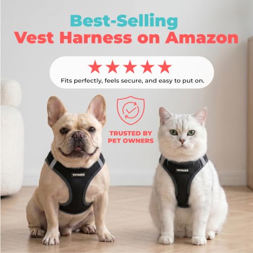 Voyager Step in Air Dog Vest Harness (Black / XXXS (Chest: 11 - 12"))
