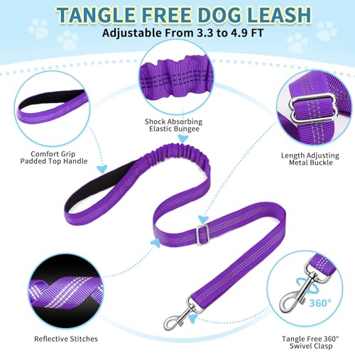 No Pull Small Dog Harness and Leash Set with Front Clip (Small / Purple)