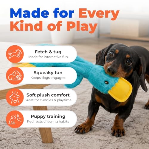 Interactive Squeaky Dog Toy (aCrinkle Duck (Turquoise) / Large)
