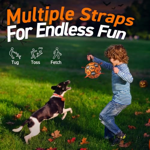 Halloween Dog Toys (Halloween / 6 Inch)