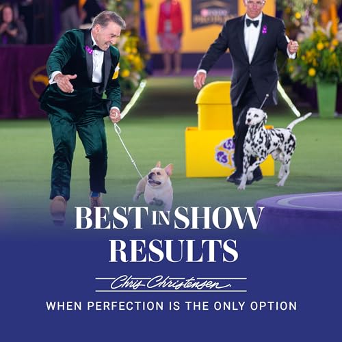 Mark VII Curved Back Slicker Brush for Dogs (Mark VII Large Curved Back)