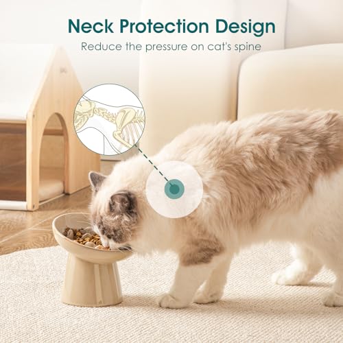 Ceramic Slow Feeder Cat Bowl (Brown)