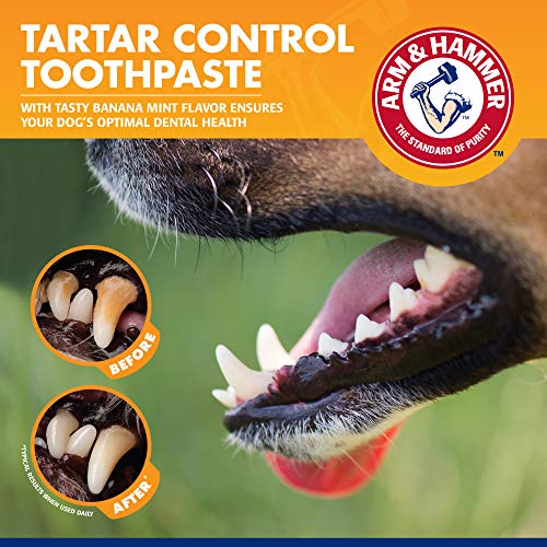 Tartar Control Dog Dental Kit (2.5 Ounce (Pack of 48))