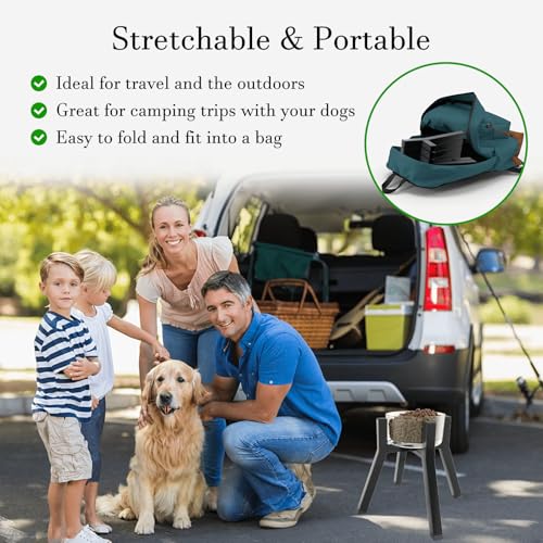 Dog Bowl Stand for Medium & Large Dogs (Height: 11", Width: 7-10.6" / Black, 4-Legs, 11H-Square)