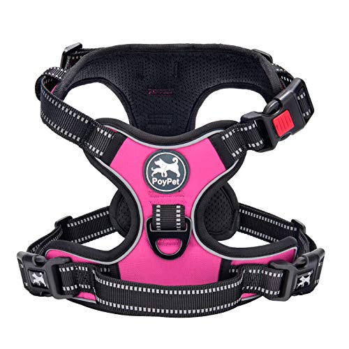 No Pull Dog Harness Large with Front Clip & Neck Release Buckle (XL / Pink)