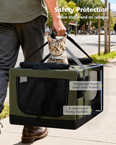 Large Cat Carrier (Green)