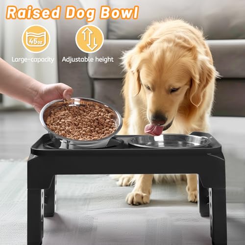 Elevated Dog Bowls with 2 Stainless Steel Dog Food & Water Raised Bowls with No Spill Edge Non (S (6" for Small Dogs) / Black)