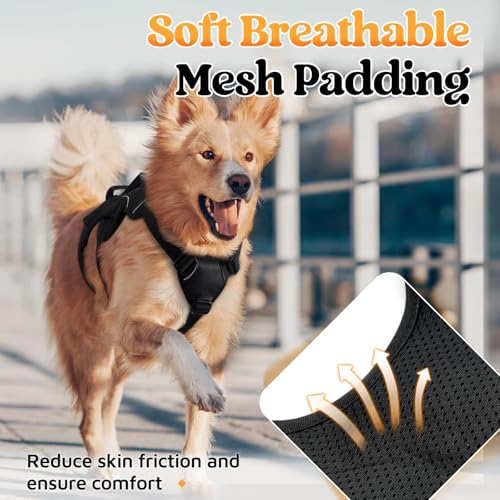 Escape Proof Dog Harness for Medium (Black / Medium)
