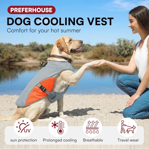 Cooling Vest for Extra (Orange / XXX-Large)
