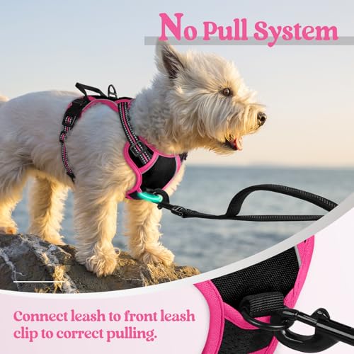 Dog Harness No Pull for Small Dogs with 2 Leash Clips (X-Small / Black & Hot Pink)