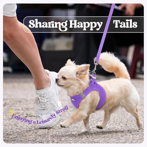 Dog Harness Medium Sized and Leash Set (Purple / L (chest: 18.2 - 20.5"))