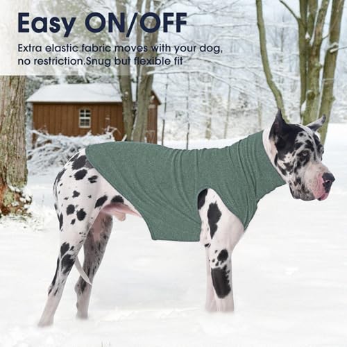 Small Dog Sweater (Medium / Green)