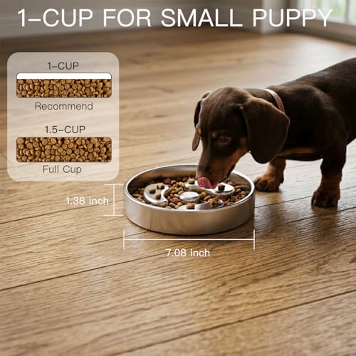 Slow Feeder Dog Bowls (2-Pack)