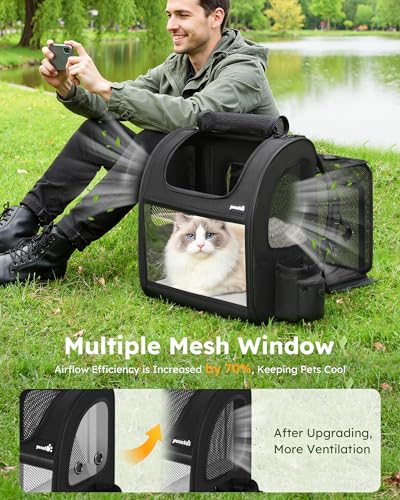 Cat Backpack Expandable (Black / 15.4"L x 11.0"W x 19.0"H)