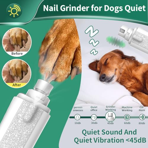 2-in-1 Cat & Dog Nail Clippers with Grinder and Dual LED Lights (White 2)