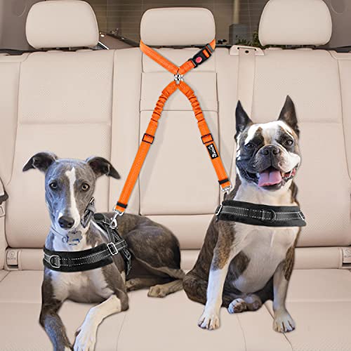Double Dog Car Seat Belt (Orange)