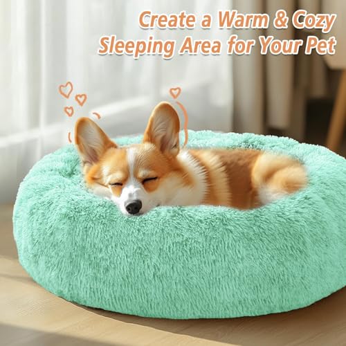 Calming Dog Bed Medium Size Dog (Mint Green / 31.0"L x 31.0"W x 8.0"Th)