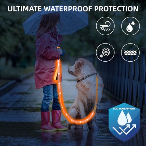 Light up Dog Leash for Night Walking (6 FT / Orange)