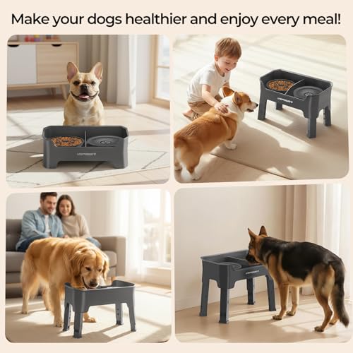 Mess Proof Elevated Dog Bowls 4 Height Adjustable Raised Stand (Grey / Large)