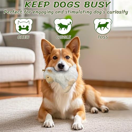 Squeaky Stuffed Dog Toys (White)