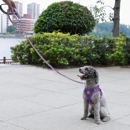 Chain Dog Leash (purple / 7.25FT(30-80lb))