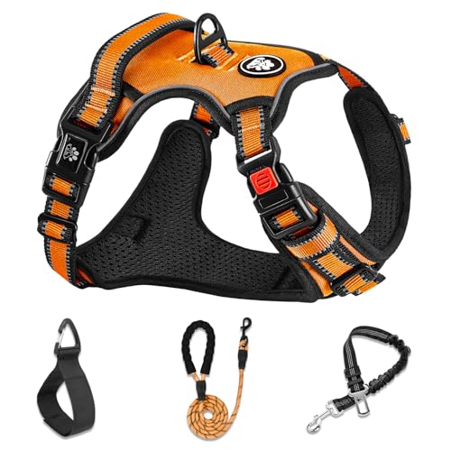 Dog Harness for Medium Sized Dog (Orange / Medium)