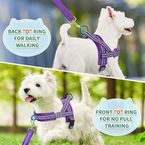 No Pull Small Dog Harness and Leash Set with Front Clip (Medium / Purple)