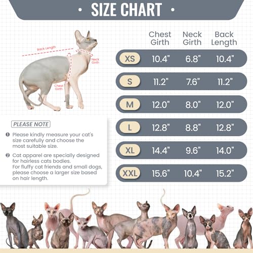 Sphynx Hairless Cats Shirt Pullover Kitten T (Small / Grey)