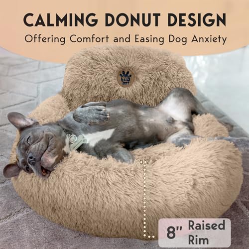 PetJett Calming Dog Beds for Small Dogs (Beige / Small - 23”L x 23”W x 8”Th)