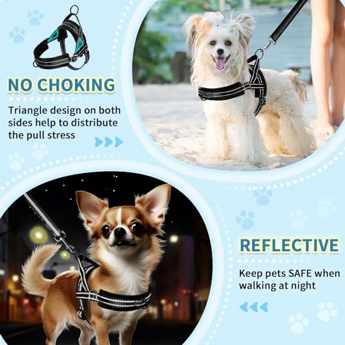 No Pull Small Dog Harness and Leash Set with Front Clip (X-Small / Black)