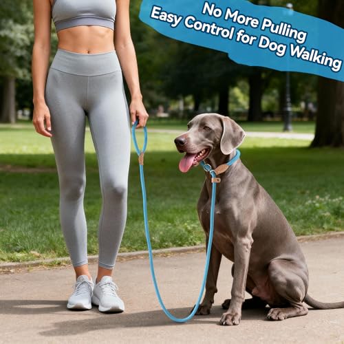 Heavy Duty Slip Lead No Pull Leash 6 (Blue / 5 Feet)