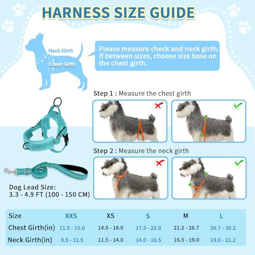 No Pull Small Dog Harness and Leash Set with Front Clip (Small / Teal)