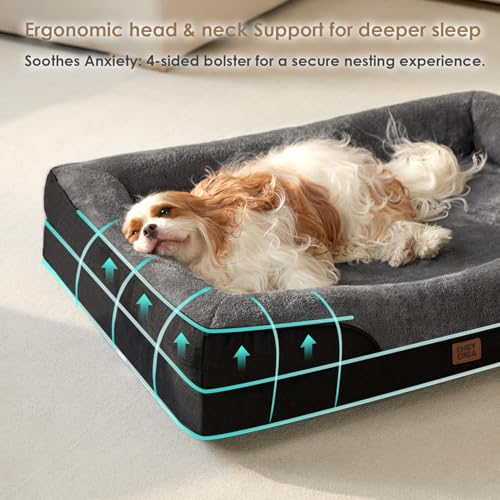 Orthopedic Dog Bed for Medium Dog (Grey/Black / 35x22x6.5)