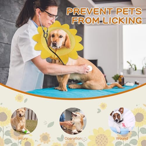 Inflatable Recovery Dog Collar (Sunflower / Medium (Neck:8''-10''))