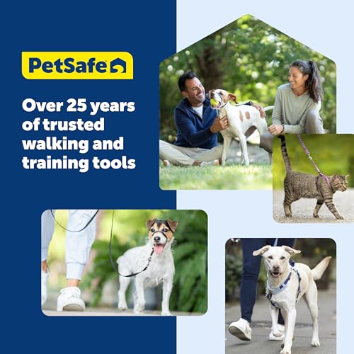 Easy Walk Harness for Dogs (Small / green)