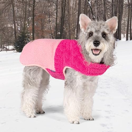 Sherpa Dog Coat Reversible Dog Jackets for Small Dogs (Medium (10-15lbs) / Rose Red)