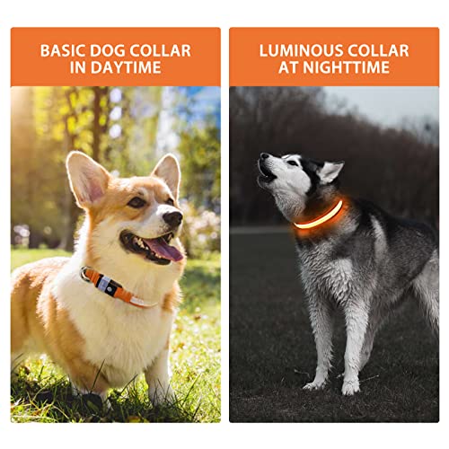 Light up Dog Collar (Orange / M(15 inch-19.7 inch))