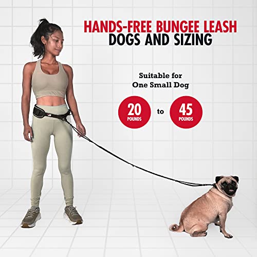 Hands Free Bungee Dog Leash - PetSolution