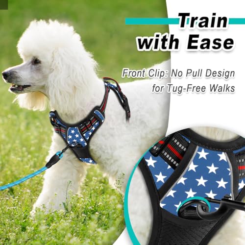 Dog Harness for Small Sized Dog No Pull 2 Leash Clips Dog Vest (X-Small / Star)