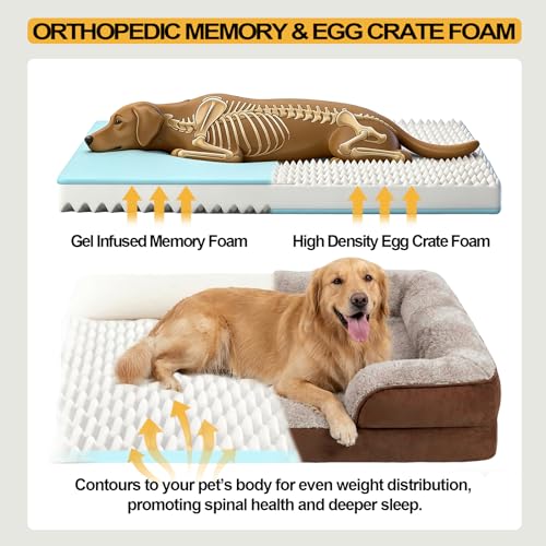 Orthopedic Extra Large Dog Bed (Brown / 44.0" L x 31.5" W x 7.5" Th)