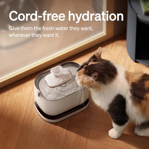 Cat Water Fountain (White / Cordless Fountain)